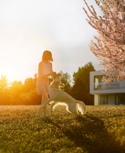 Valentino Studio - Campañas Digitales -Agencia de Marketing